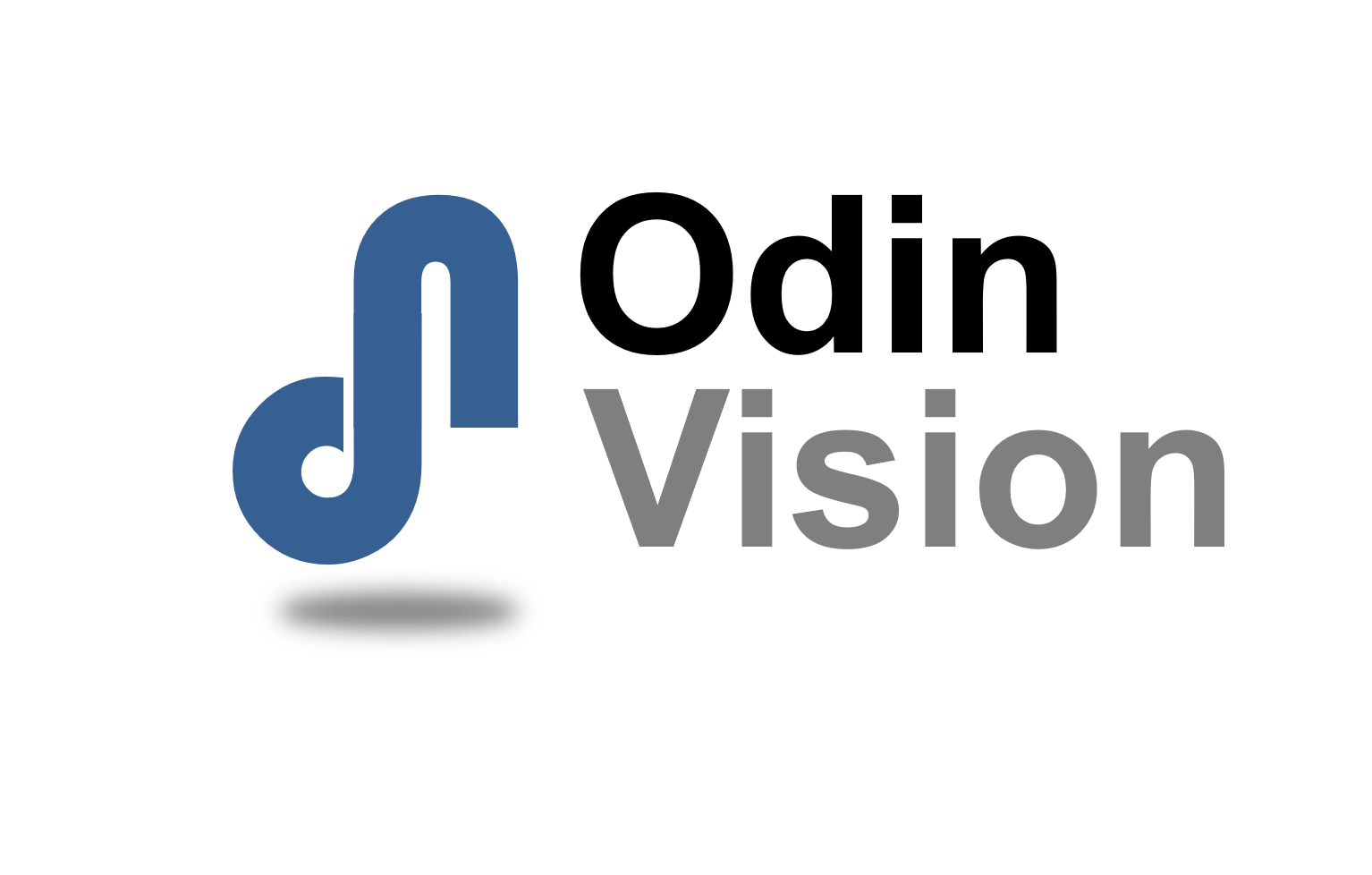 Odin Vision logo